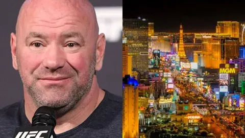Dana White Casino